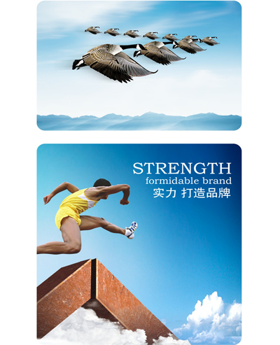 图片展示